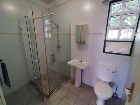 One bedroom apartment downstairs bathroom with shower